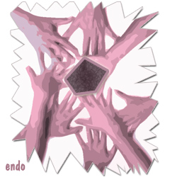 endometrioza portal