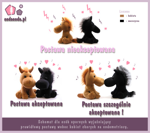 postawa wobec chorych na endometriozę